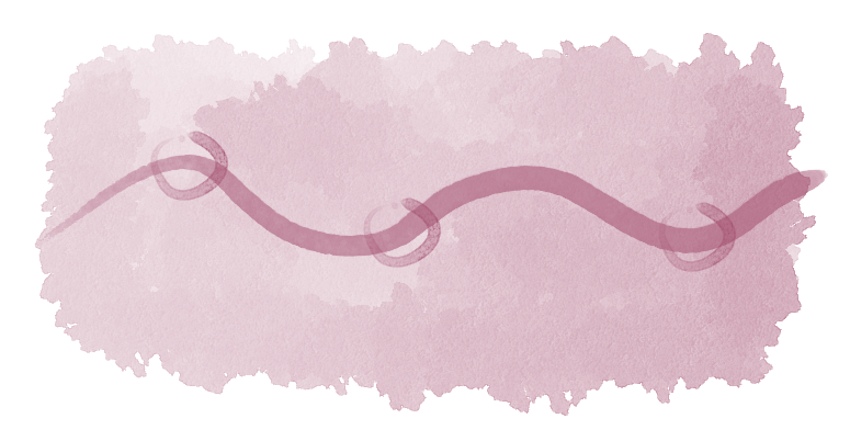 Learning under conditions of ambiguity